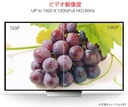 GXF-2988-3